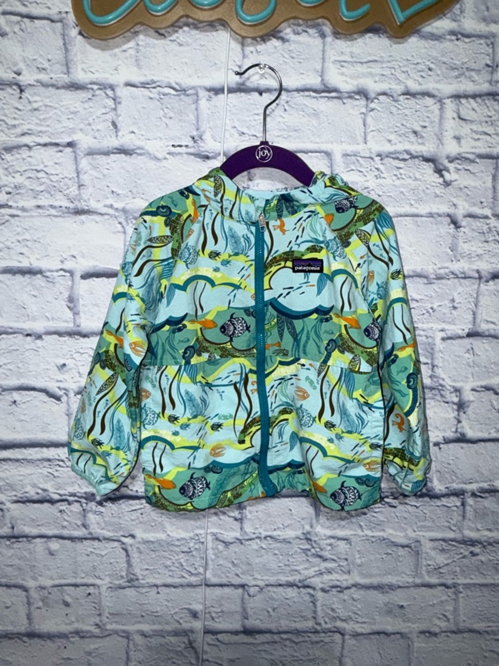 Patagonia baby baggies jacket 
Size 2T